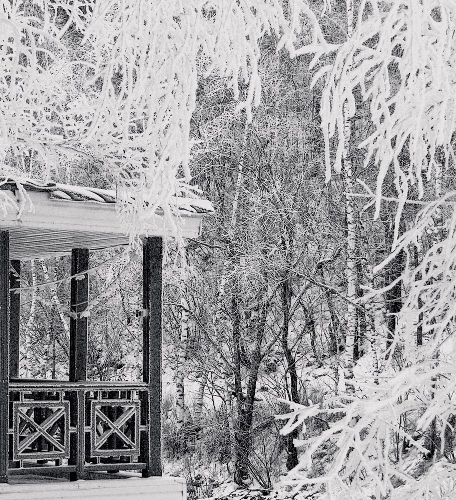 Photograph by Олъга