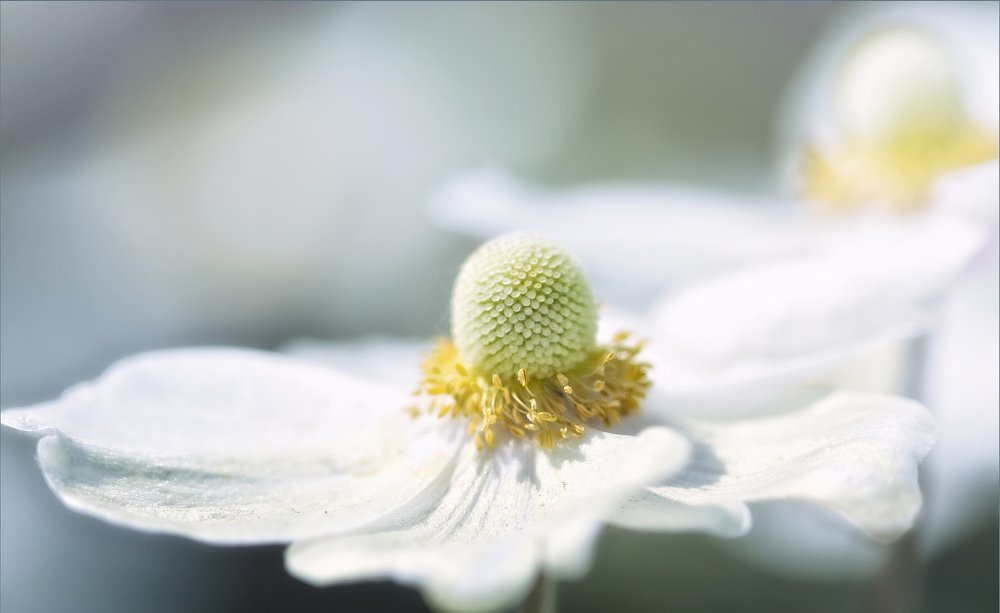 Photograph by Олъга