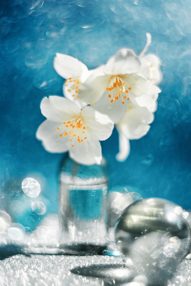 Photograph by Виктория