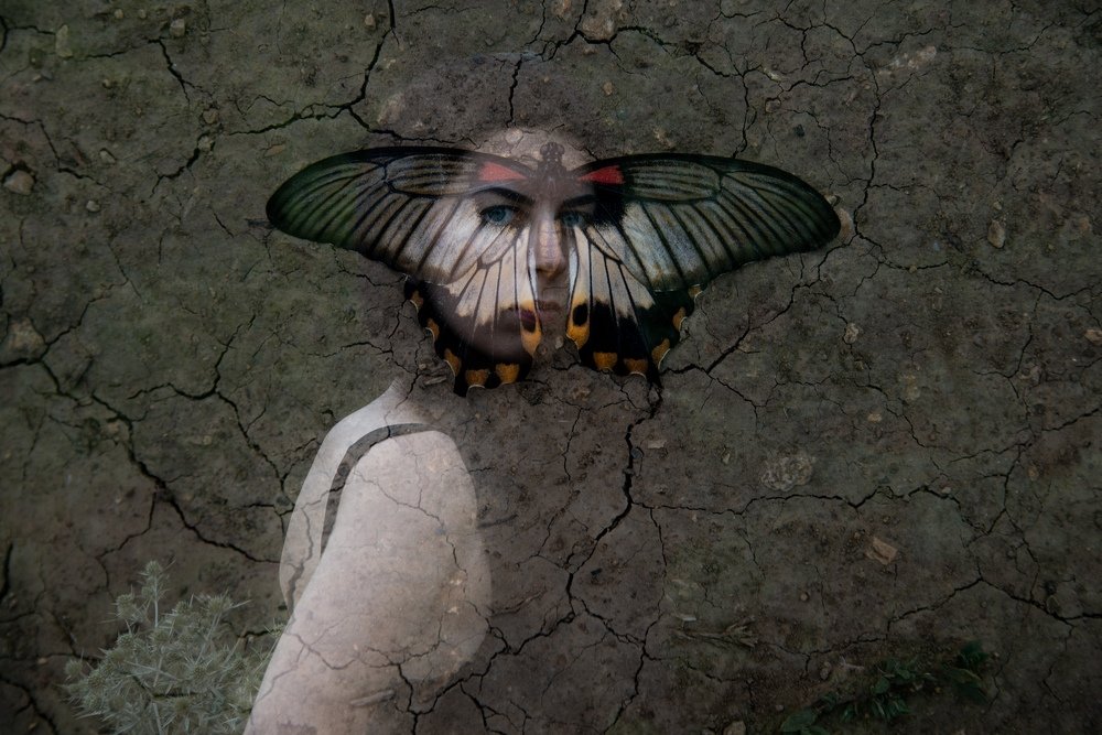 Фотография автора Дарья Дар