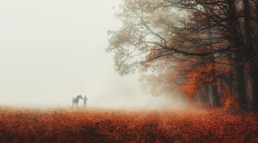 Photograph by Оксана Лабяк