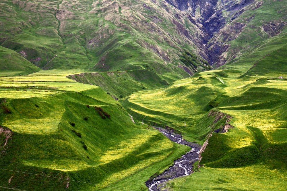 Зеленая долина