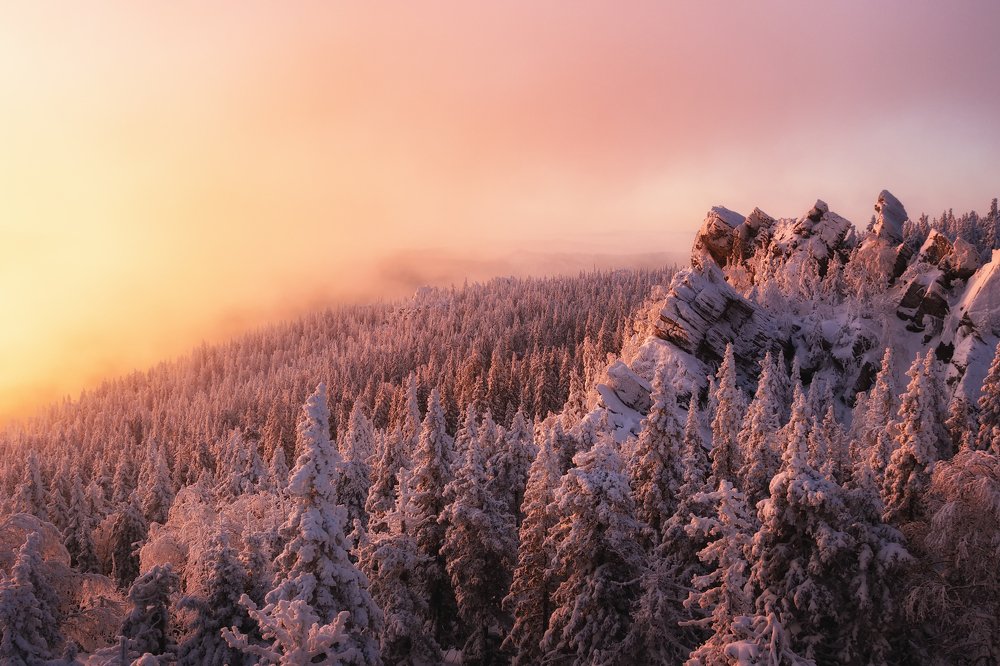 Photograph by Антон Кошетаров