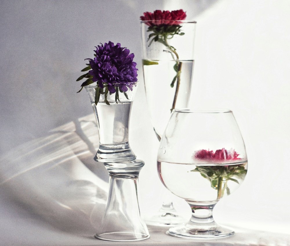 Photograph by Анастасия Чудинова