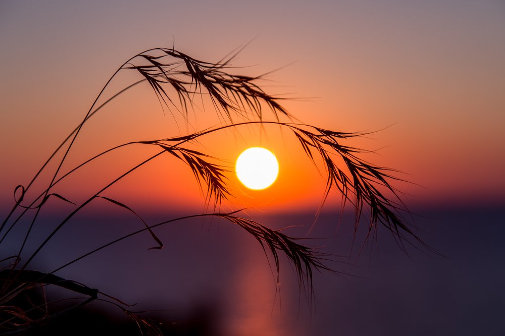 Photograph by Татьяна Антонюк