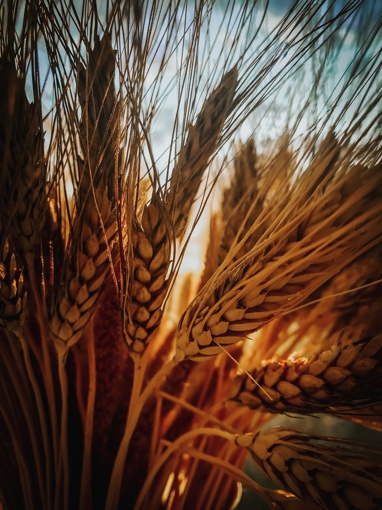 Photograph by Сергей Бойко