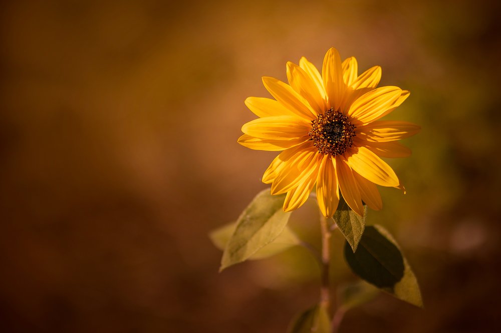 Photograph by Maria Hij