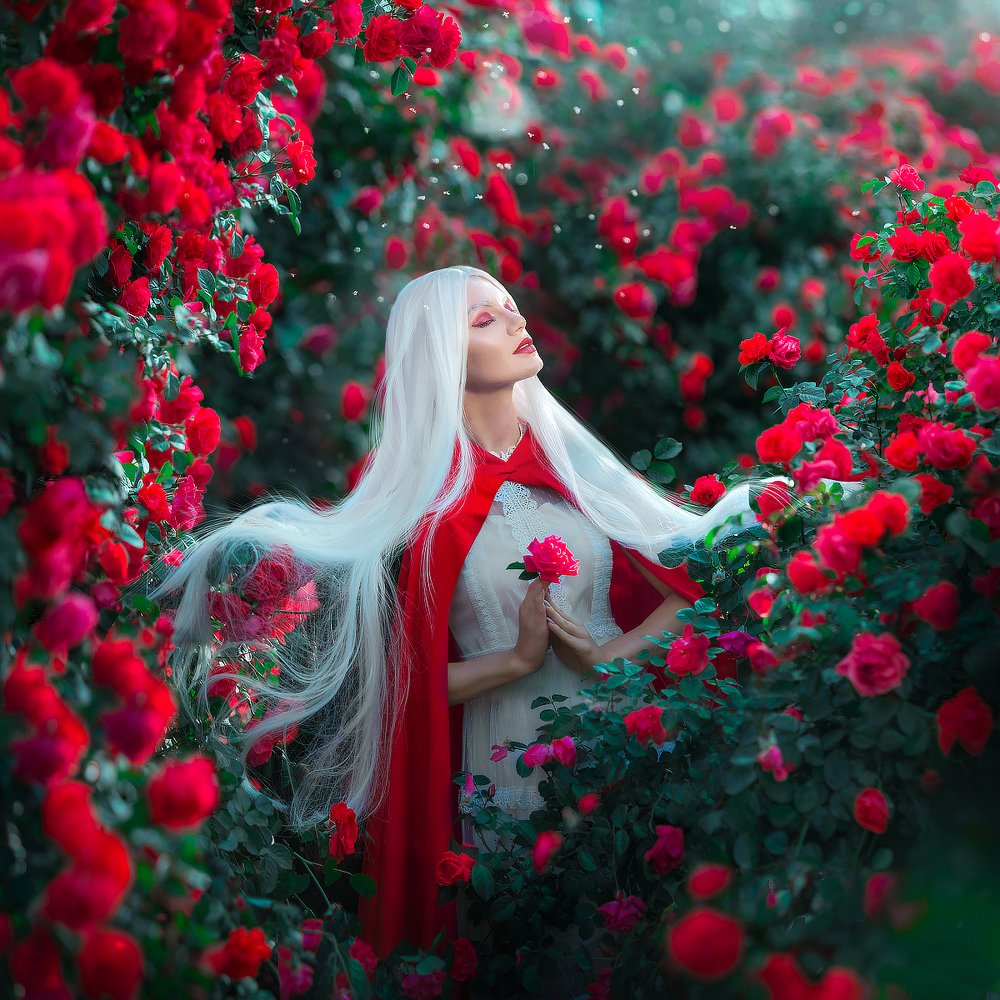 Фотография автора Мила Жданова