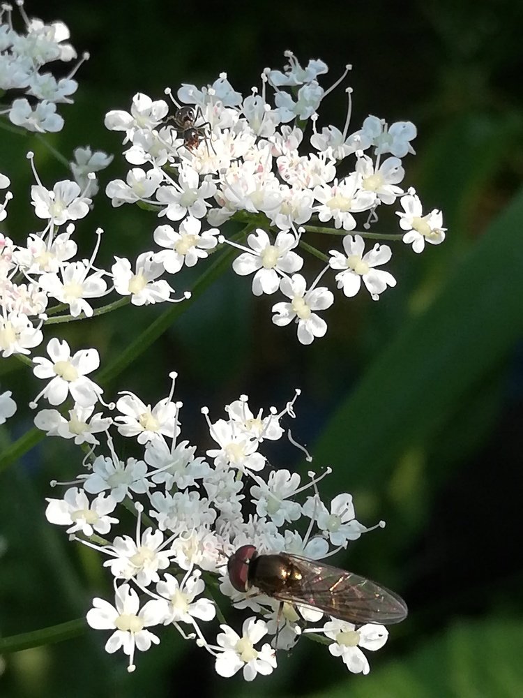 Photograph by Евгения Буркаева