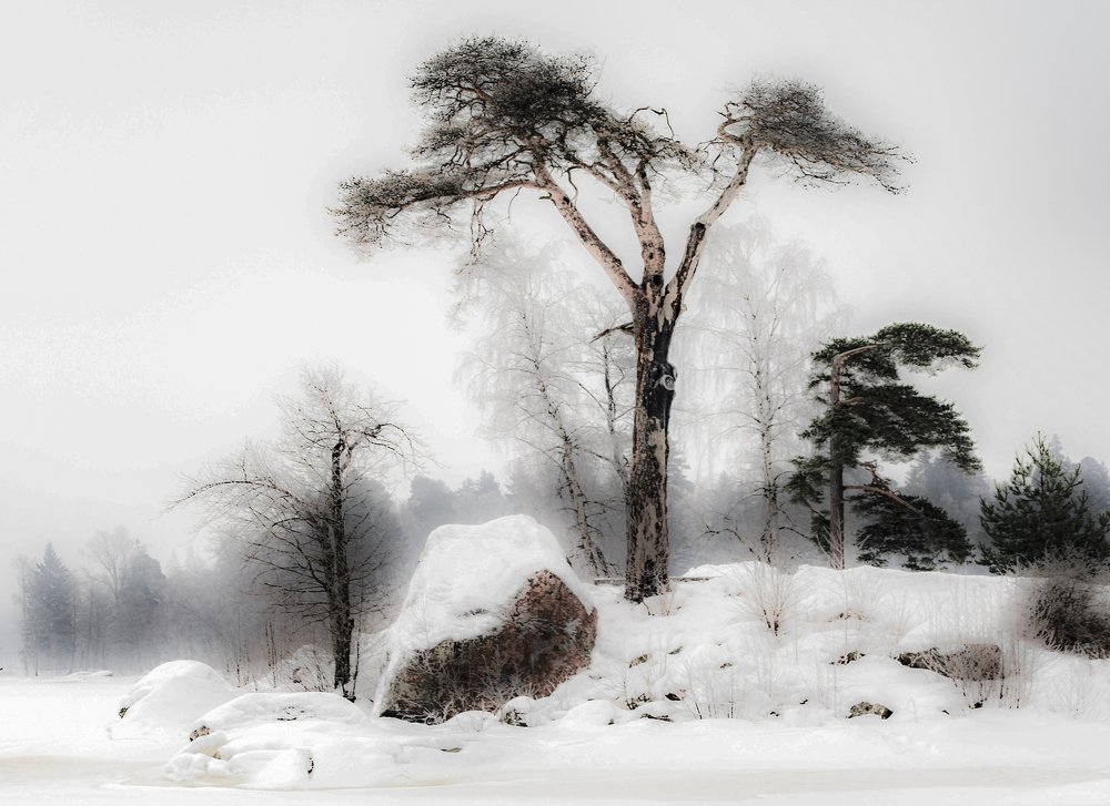 Photograph by Шутов Владимир