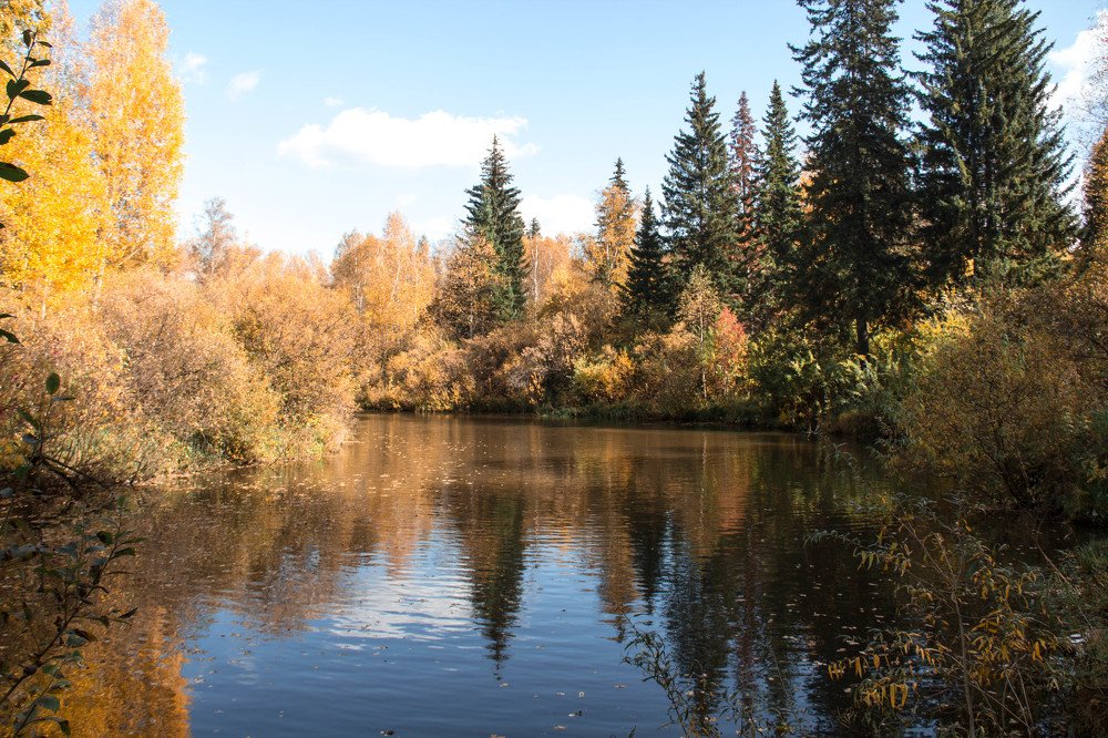 Photograph by Вадим Басов