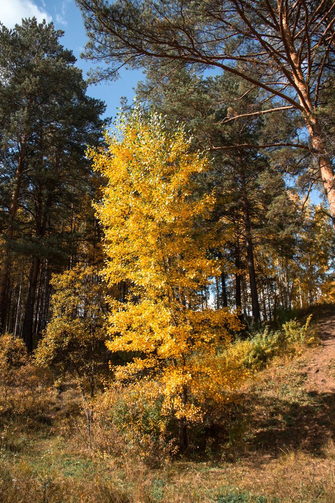 Photograph by Вадим Басов