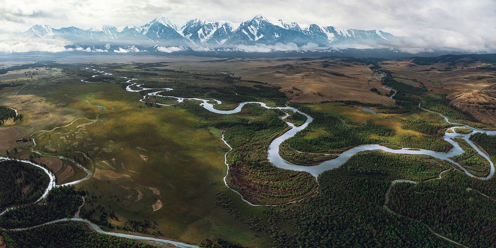 Артерия Курая