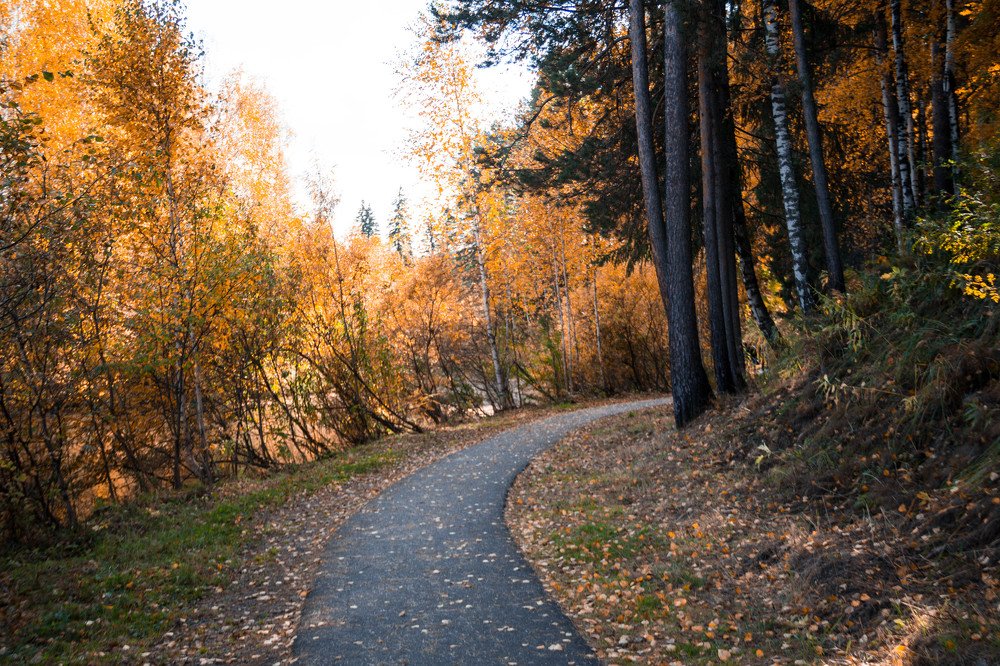 Photograph by Вадим Басов