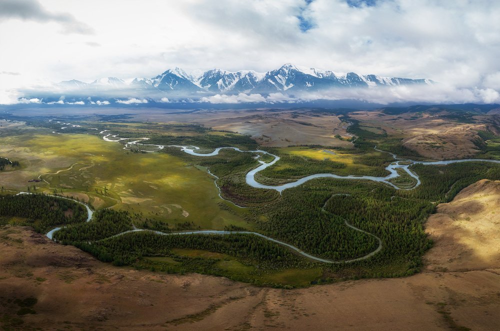 Артерия Курая