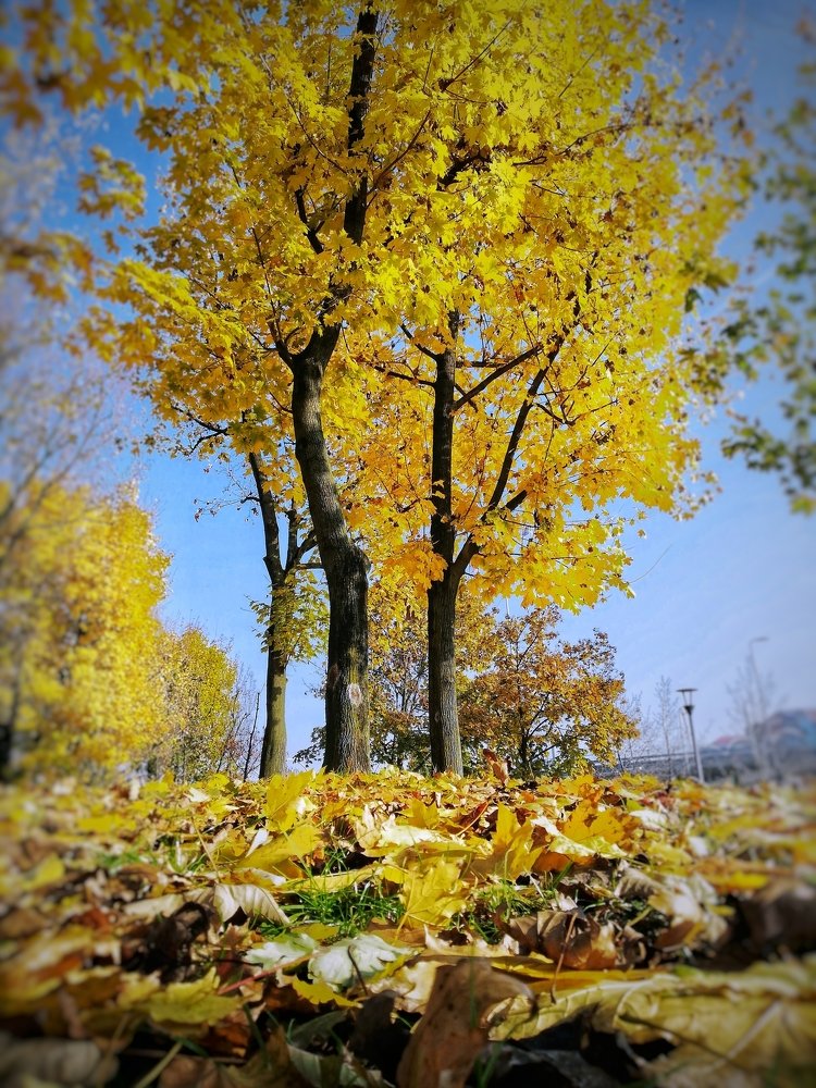 Photograph by Luigi Greco