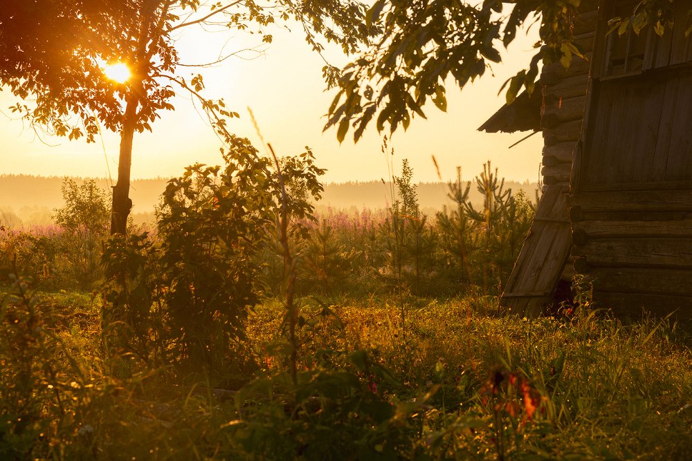 Photograph by Михаил Карпов