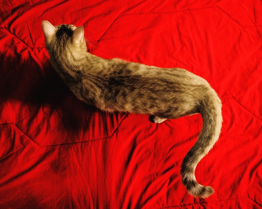 Photograph by Артур Газиев