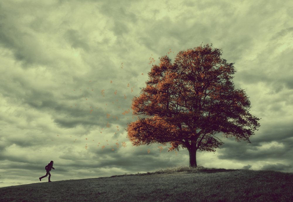 Photograph by Jerry de Stexhe