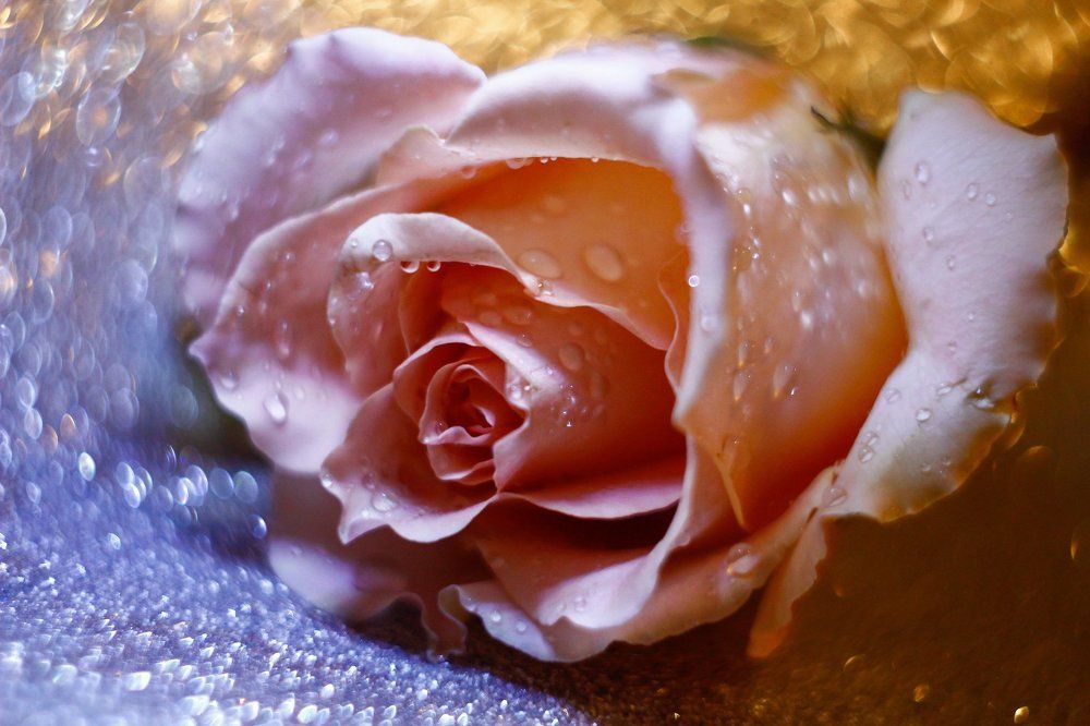 Photograph by Любовь Головина