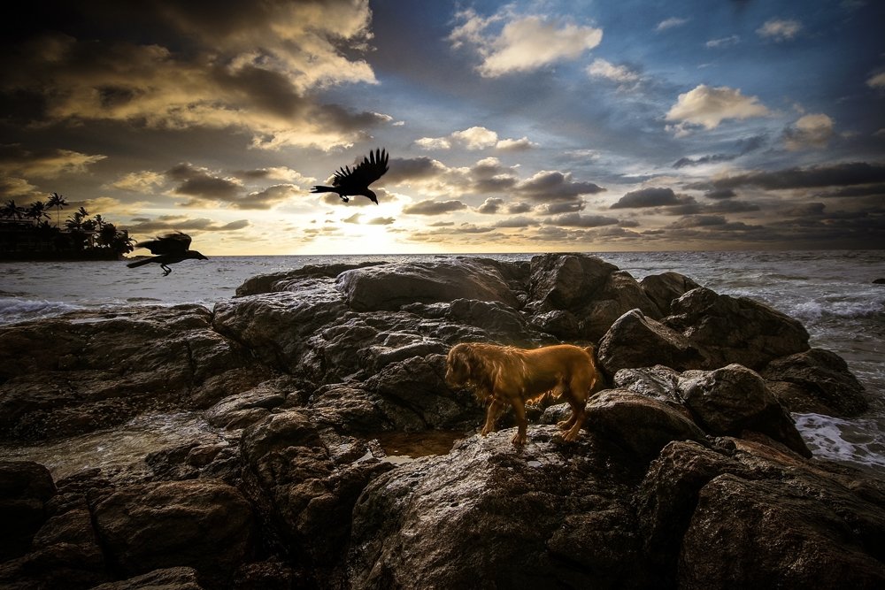 Photograph by pouyan safavi