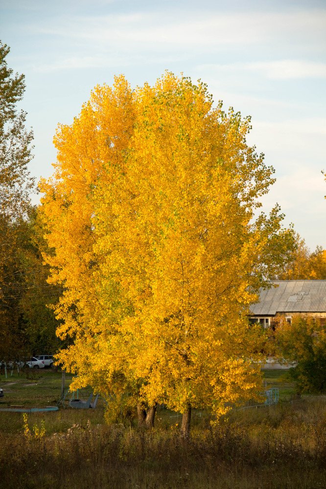 Photograph by Вадим Басов