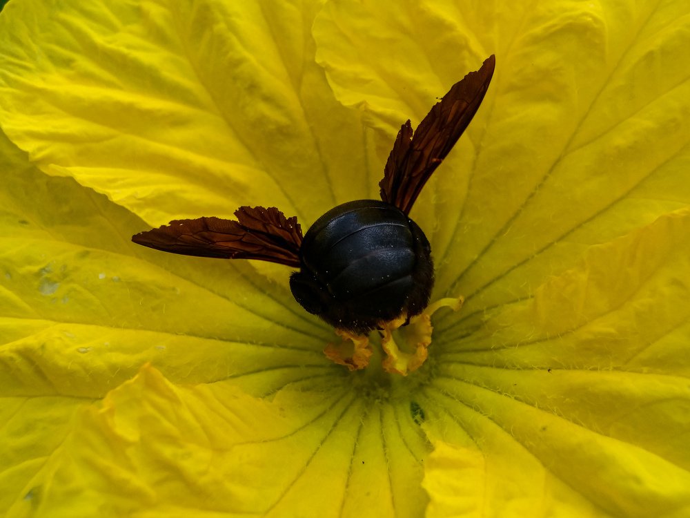 Photograph by Bistupada Mondal