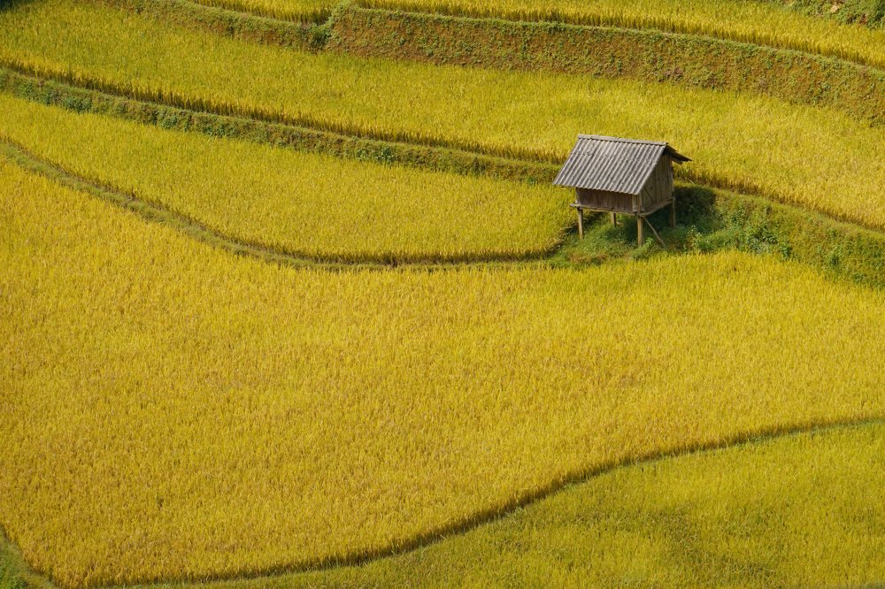 Photograph by Ngo Duy Minh Triet