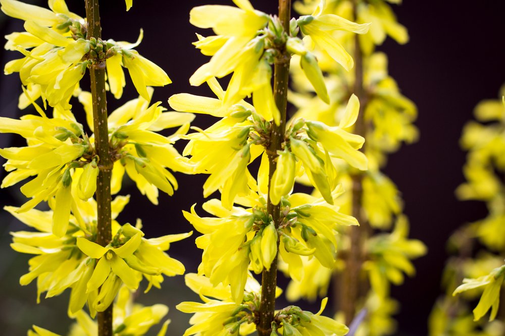 Photograph by Балакин Евгений