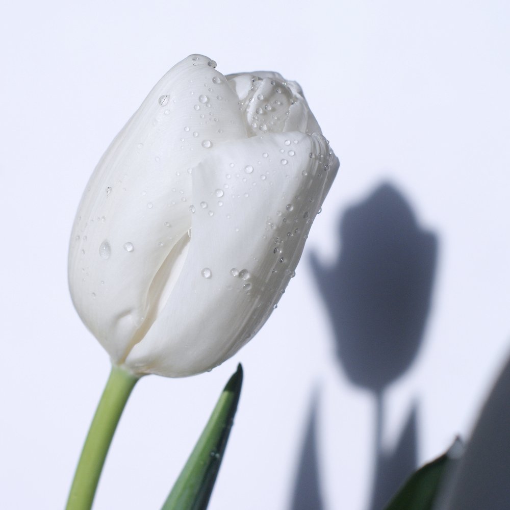 Photograph by Ольга Буракова