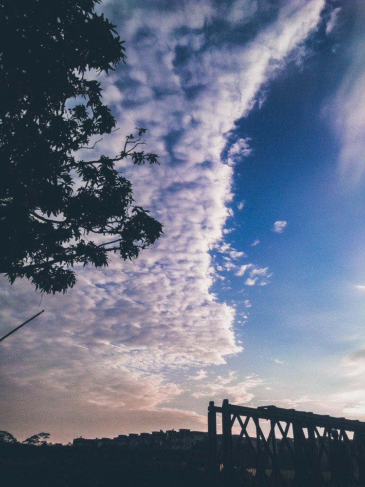 Photograph by Ashikul zaman Nabil