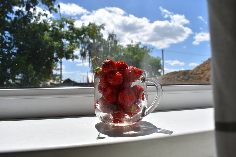 Photograph by Тогжан Таминбаева