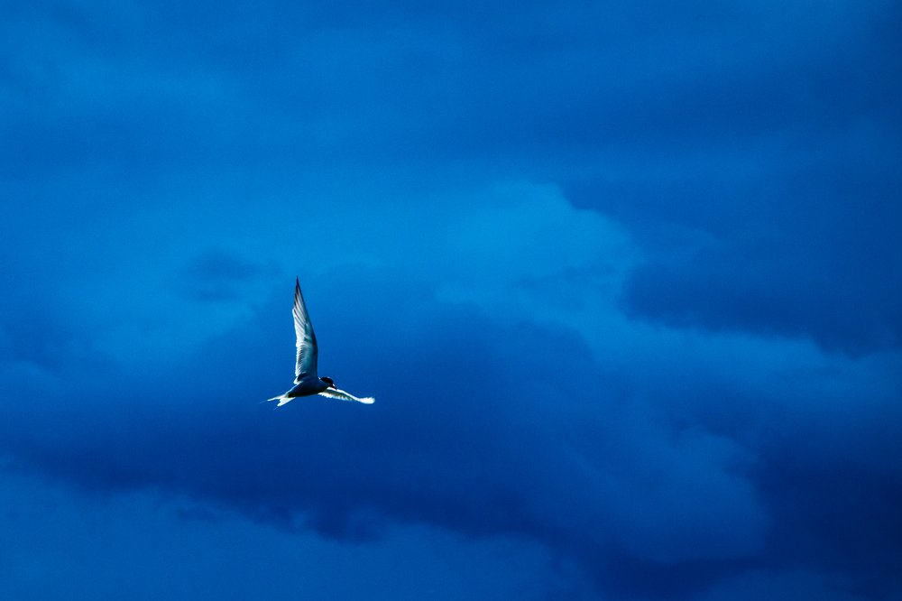 Photograph by Балакин Евгений