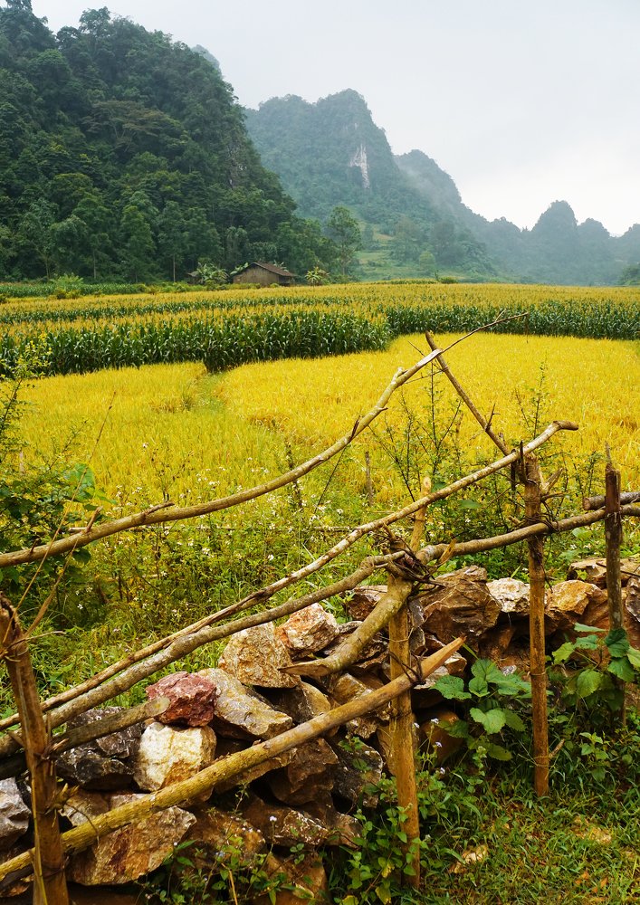 Photograph by Ngo Duy Minh Triet