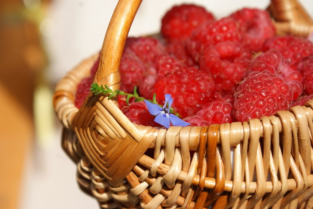 Photograph by Ольга Буракова