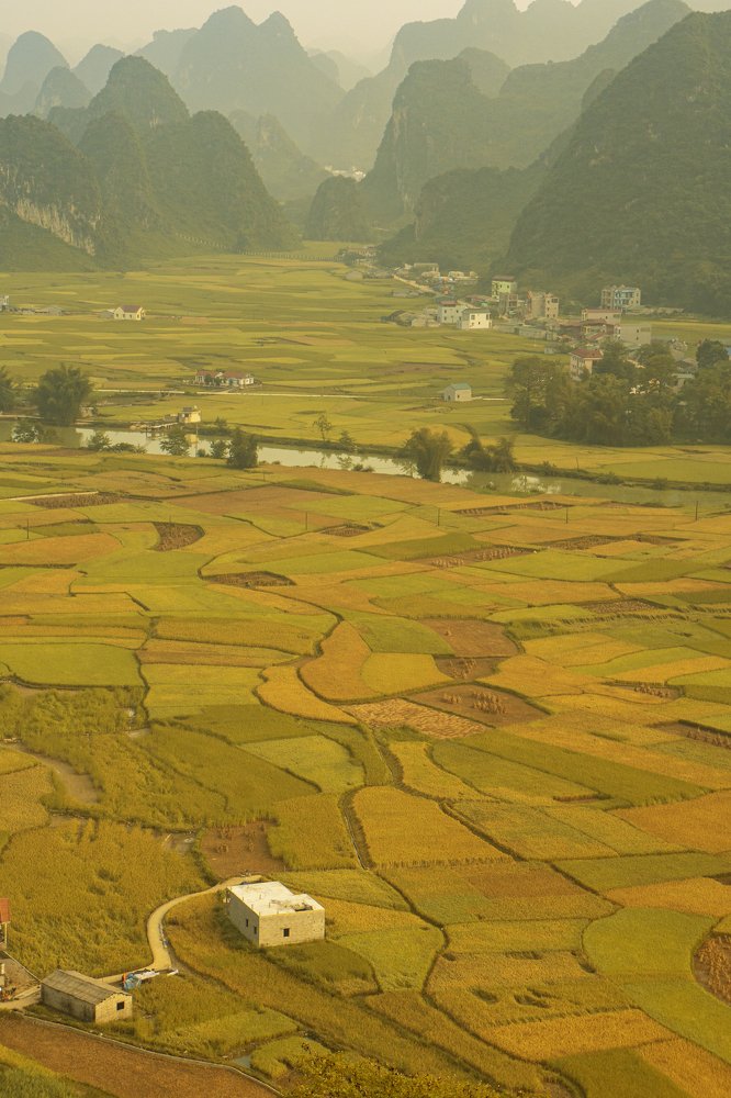 Photograph by Ngo Duy Minh Triet