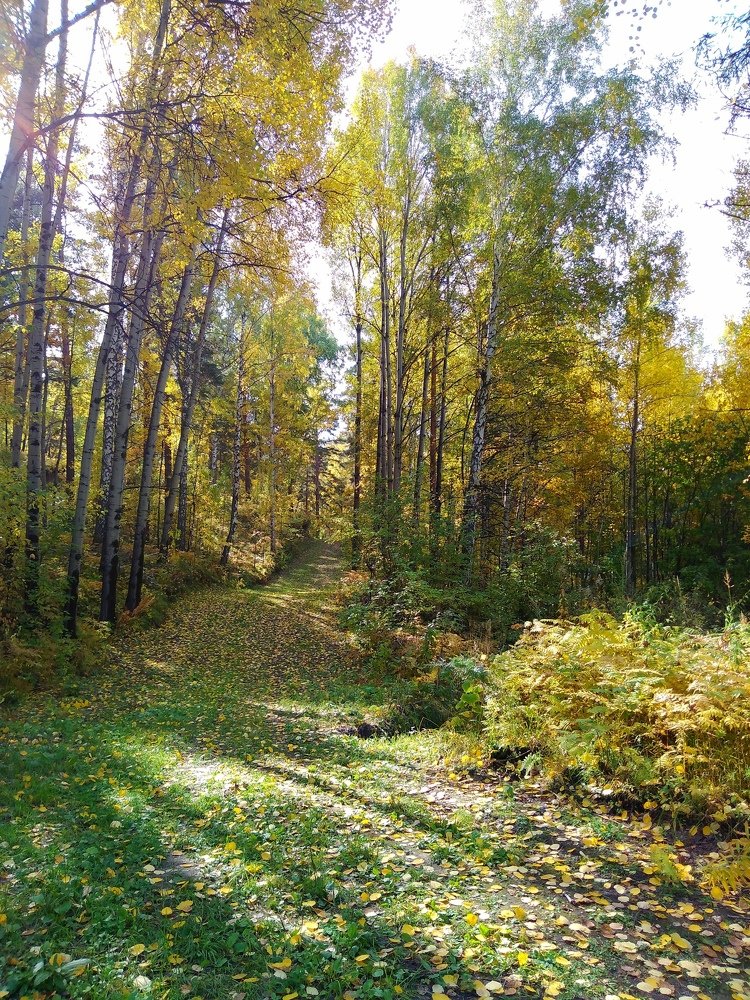 Осень