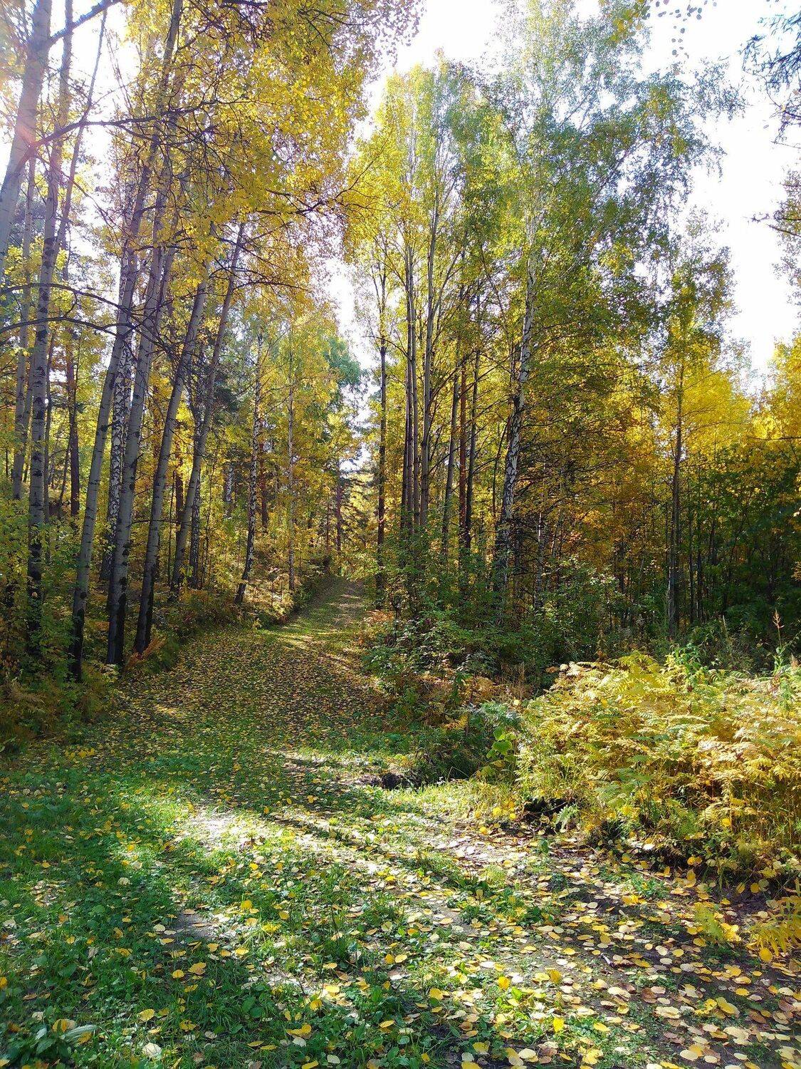 Осень