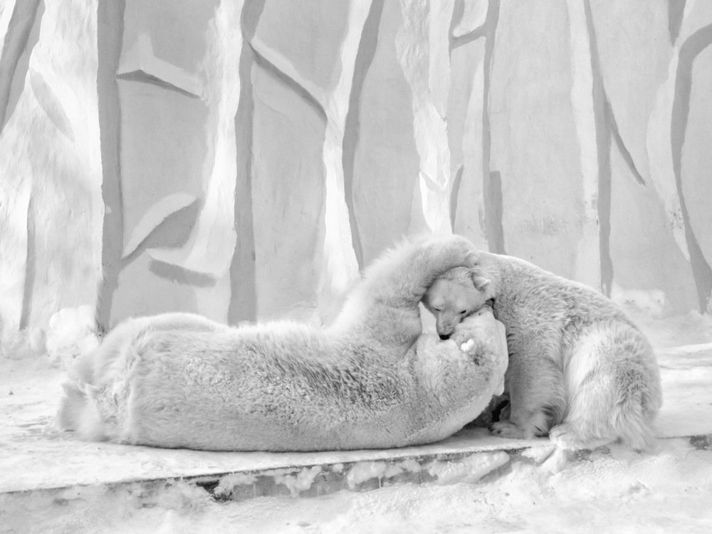 Photograph by Nadezda Sereda