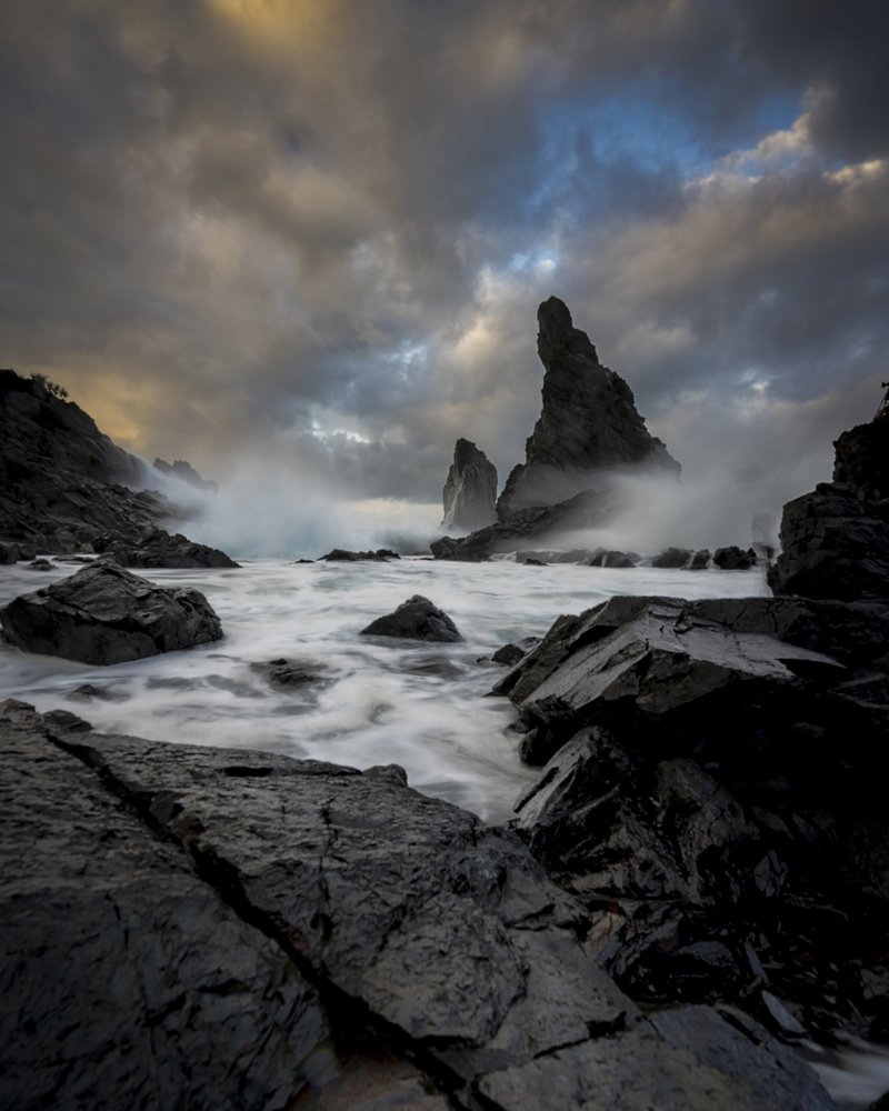 Black coral reef at Rajaan Beach, East Java Indonesia.
