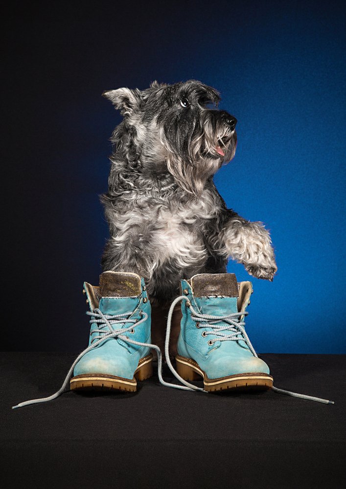 Photograph by Viktoria Baranova