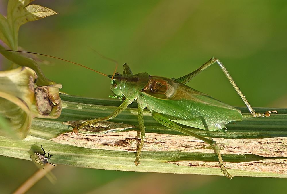 Photograph by Сергей Духанин