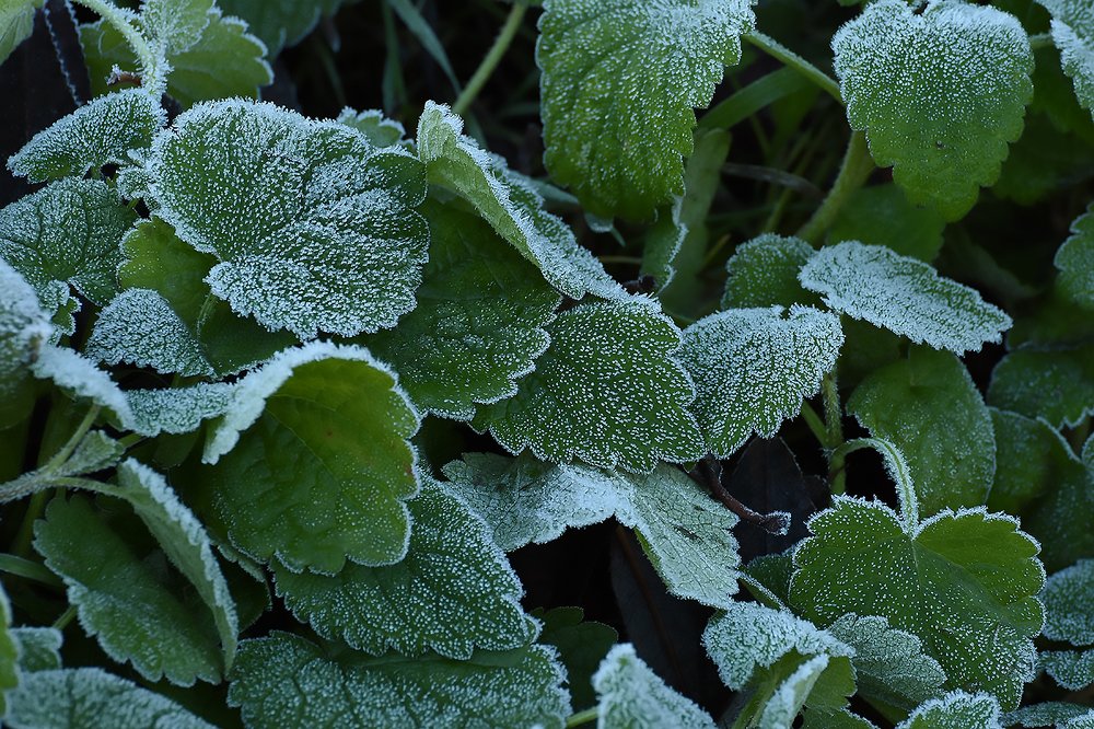 Photograph by Сергей Духанин