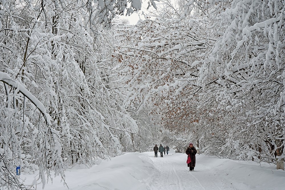 Photograph by Сергей Духанин