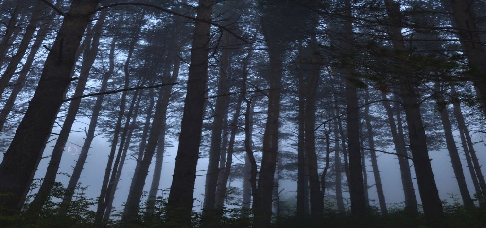 Photograph by Станислав Иншаков