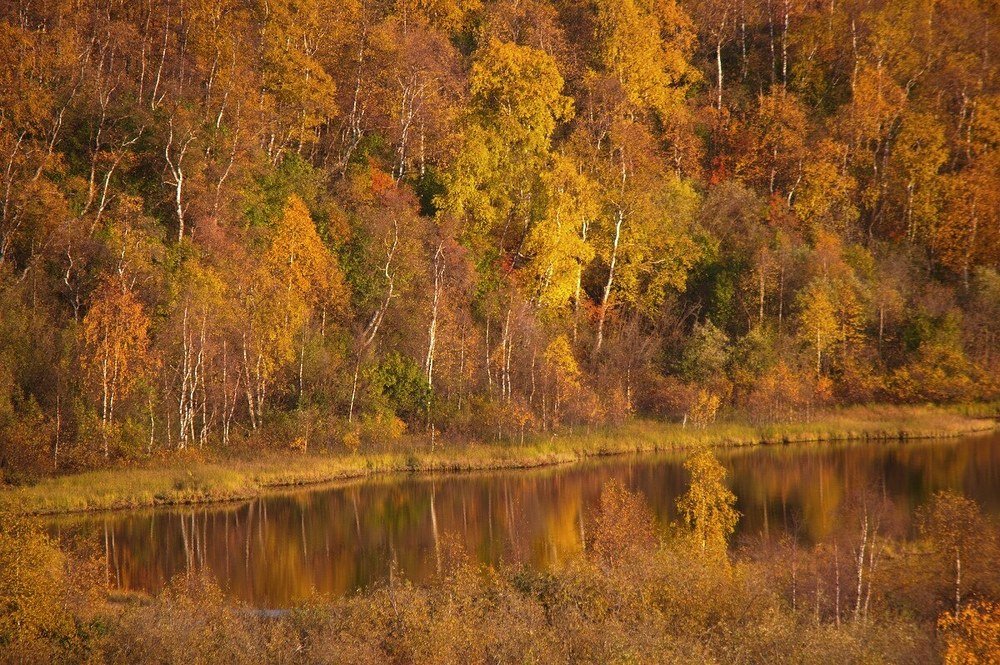 Photograph by Февралев Дмитрий