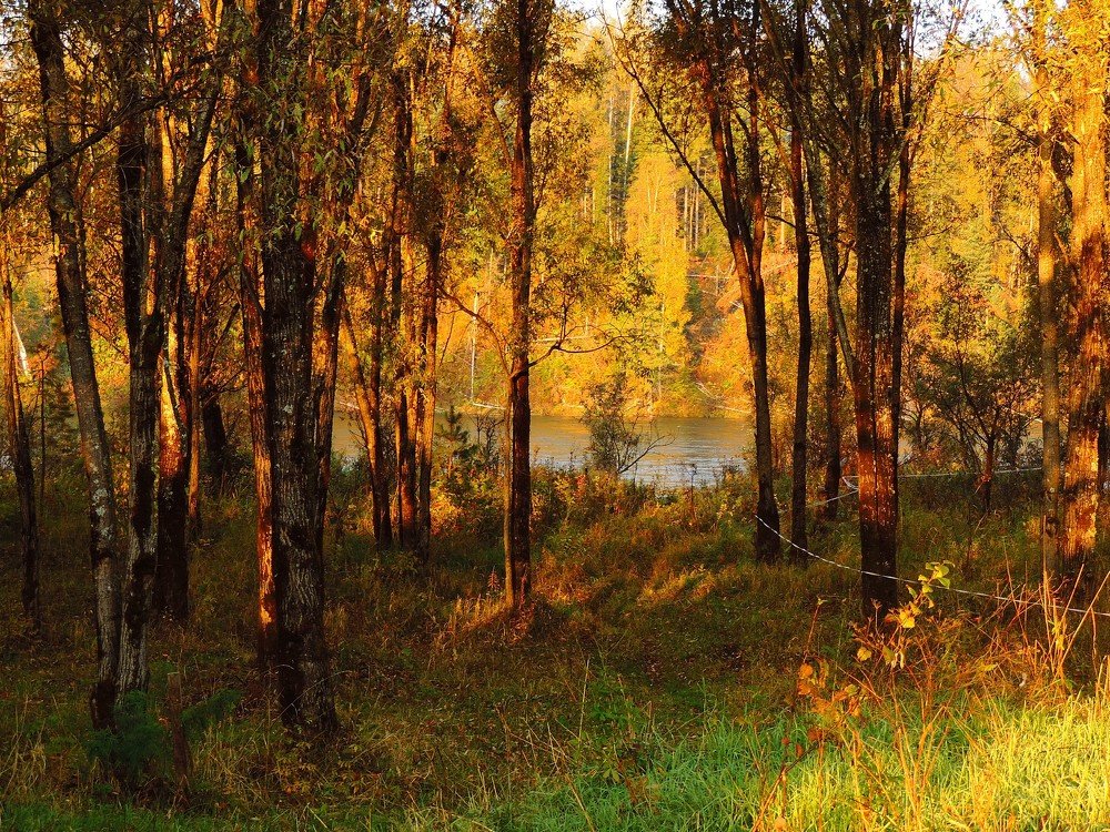 Photograph by Вадим Вахрушев