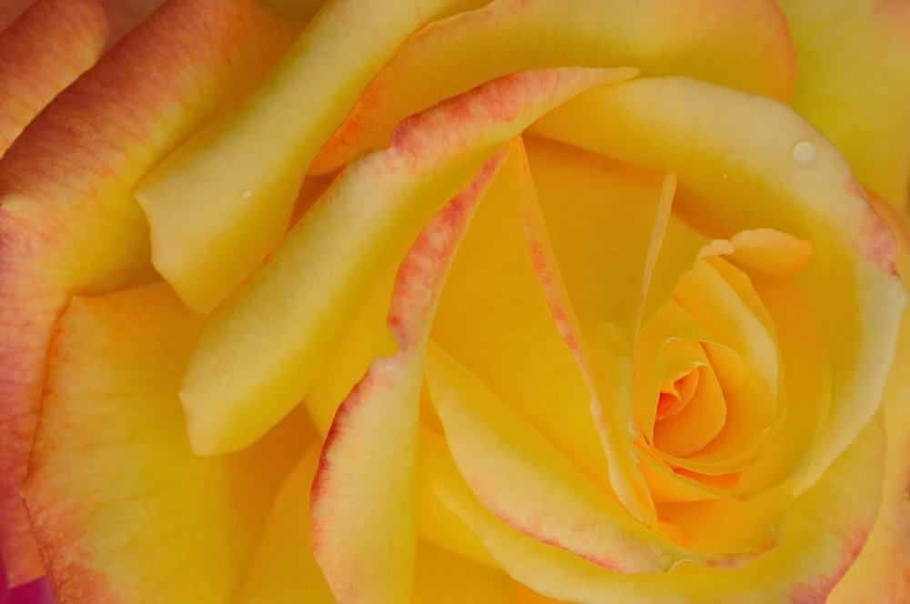 Photograph by Людмила Ефремова