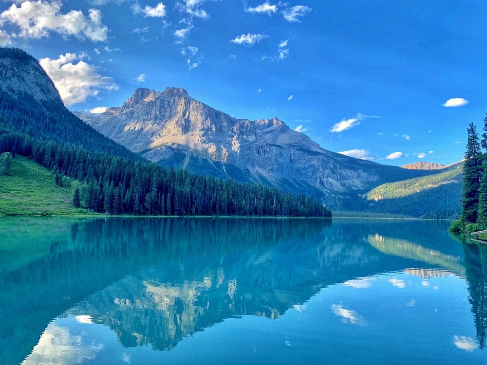 Look Deep Into The Nature & Then You Will Understand Everything Better