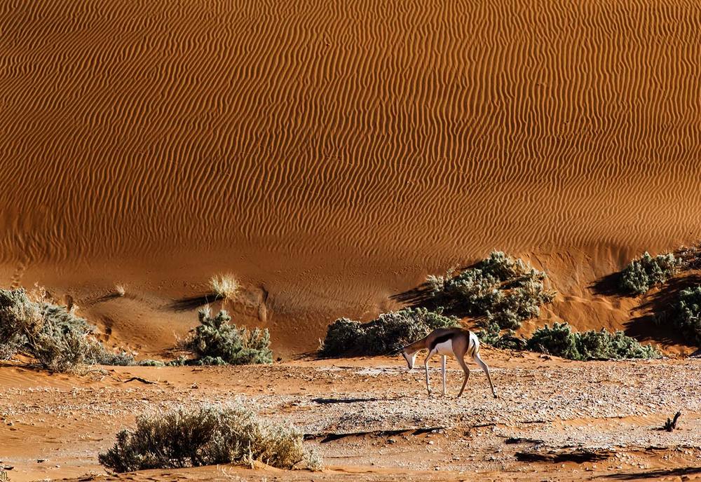 Photograph by Andre Victor